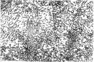 рисунок